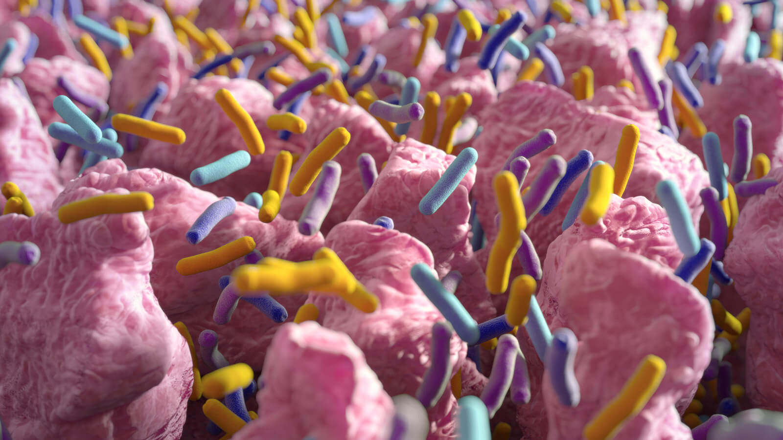 Transplantul de microbiotă fecală